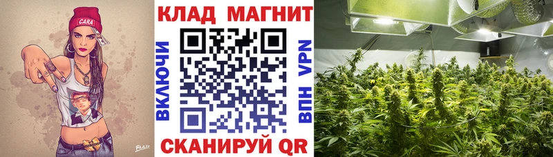 Наркота Кирсанов АМФ  Alpha PVP  Гашиш  Меф  МАРИХУАНА 