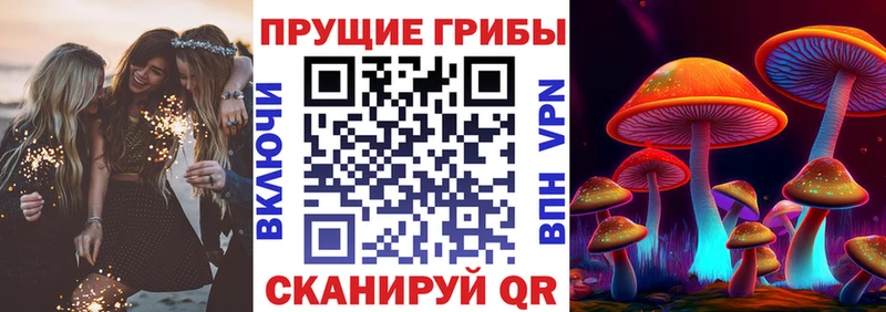 Галлюциногенные грибы Magic Shrooms  Кирсанов 